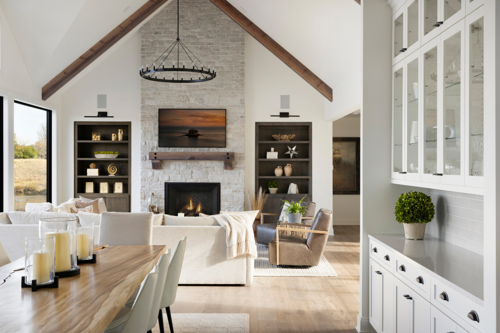 Living room - modern living room idea in Minneapolis with a stone fireplace