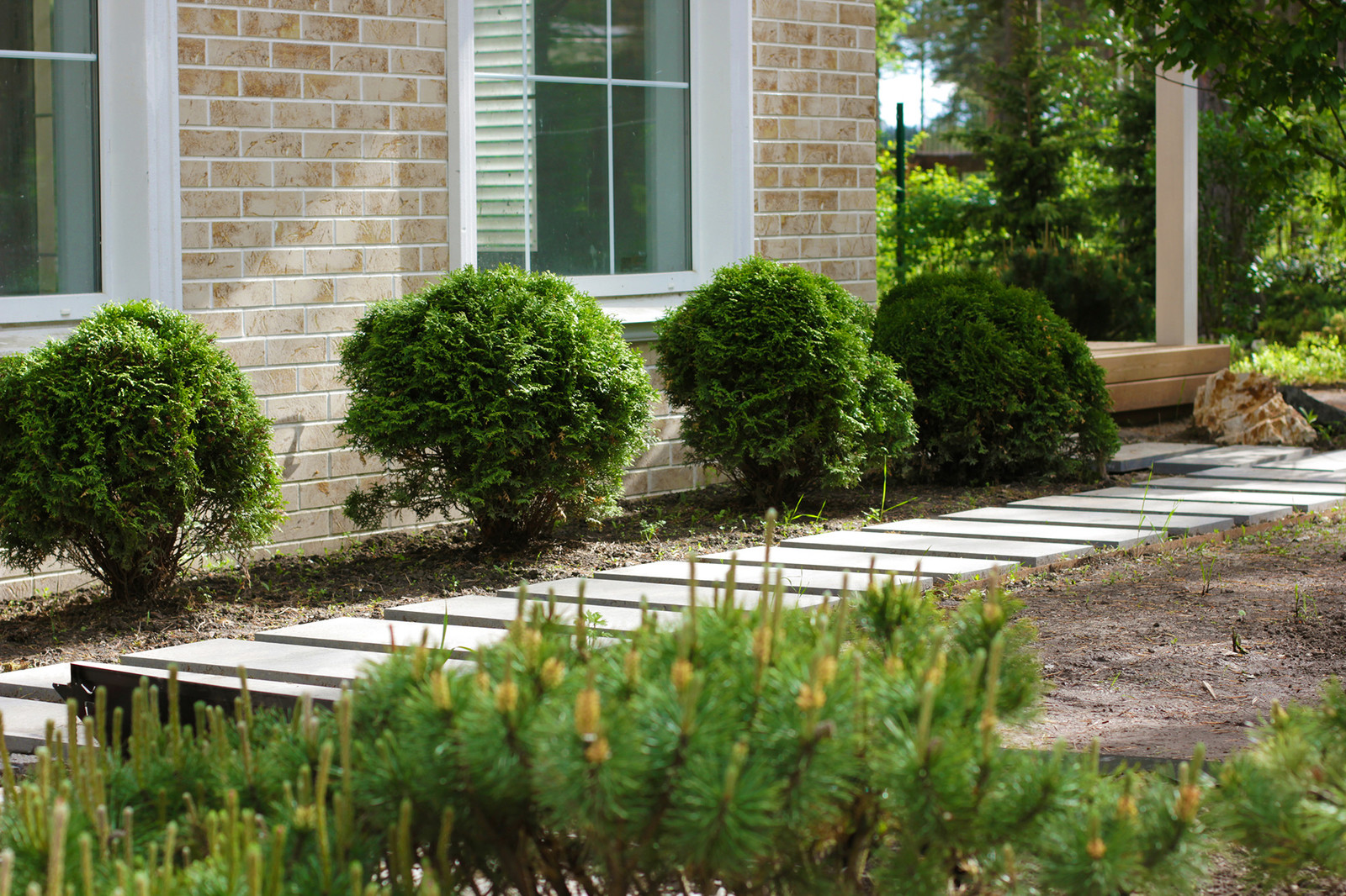 Сад в "Охтинском парке"