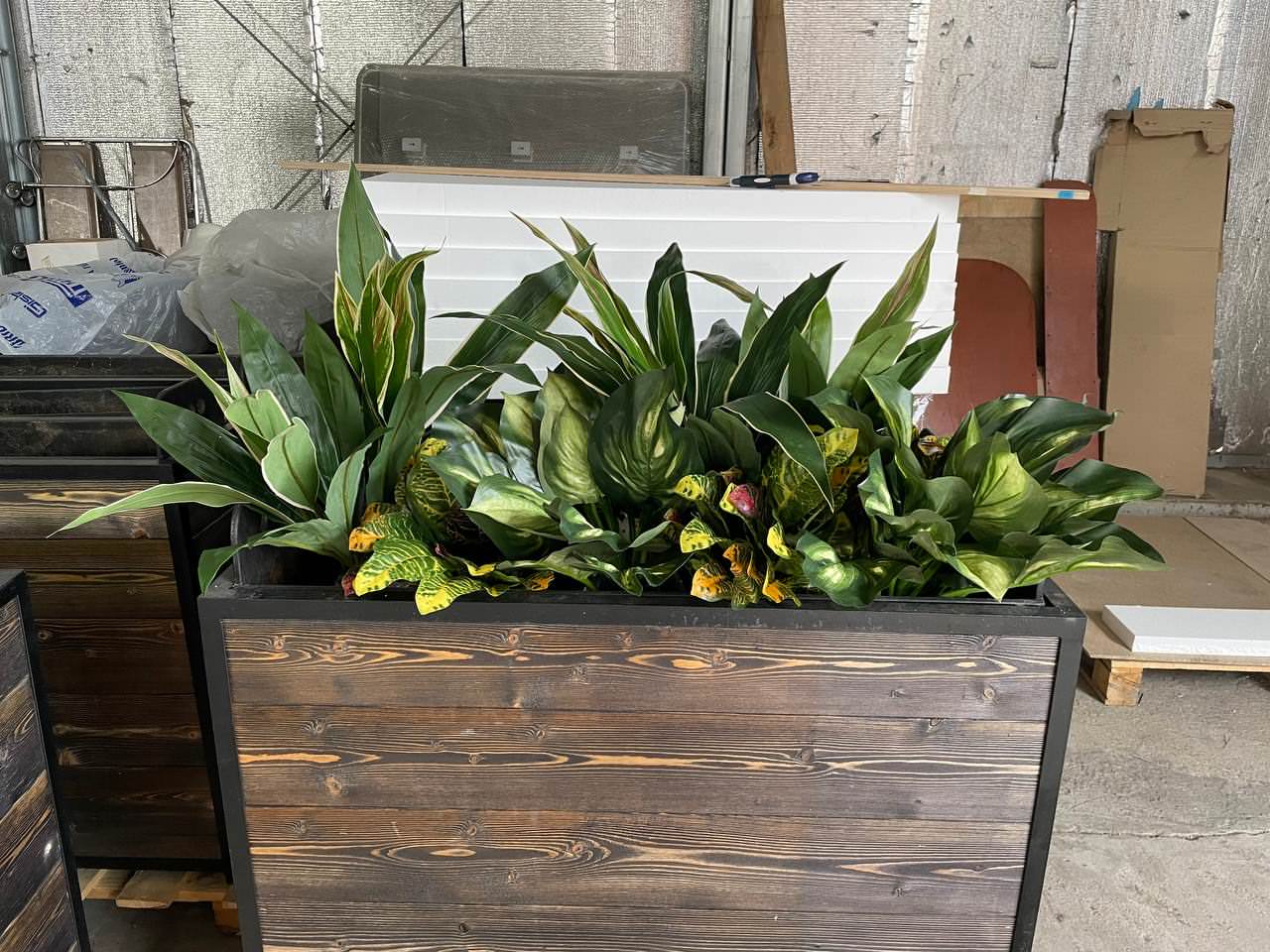 Ресторан FRANK на Рубинштейна г. Санкт-Петербург