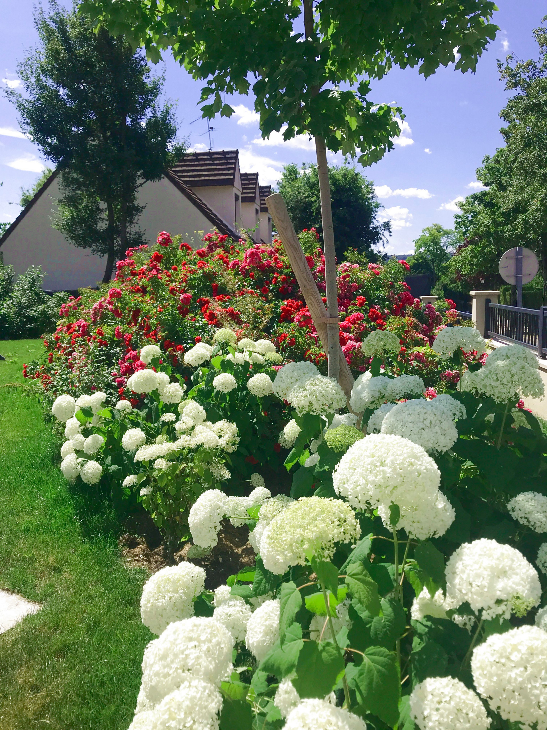 Jardin champêtre