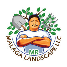 Design ideas for a landscaping in DC Metro.