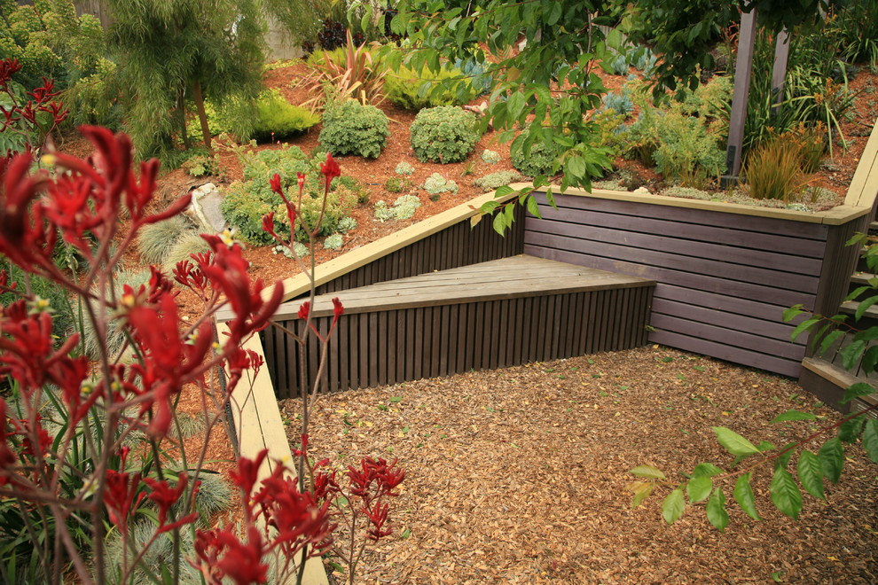 Photo of a mid-sized modern backyard partial sun xeriscape in San Francisco with a garden path and mulch.