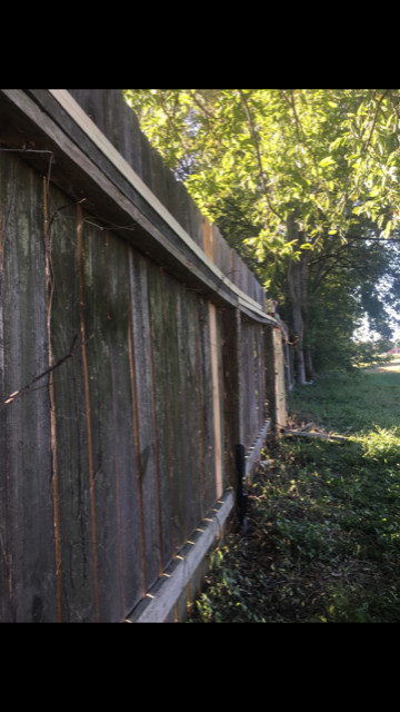 Reinforced Repaired Wood Fence