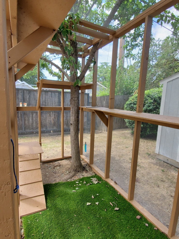 Custom Catio (Cat Patio)