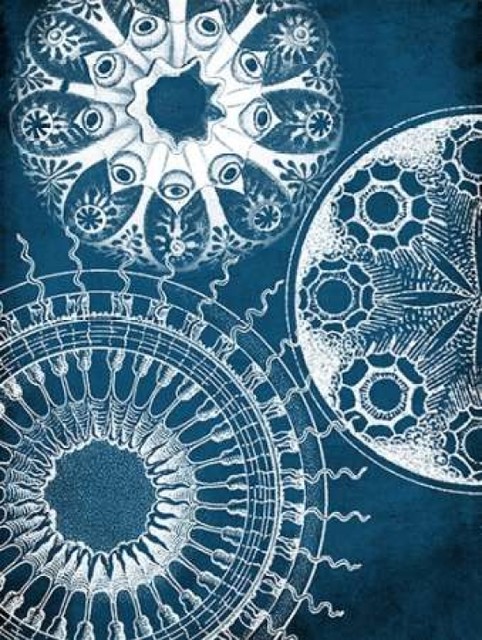 Blue patterns Poster Print by Jace Grey - Item # VARPDXJGRC231A, 18 x ...