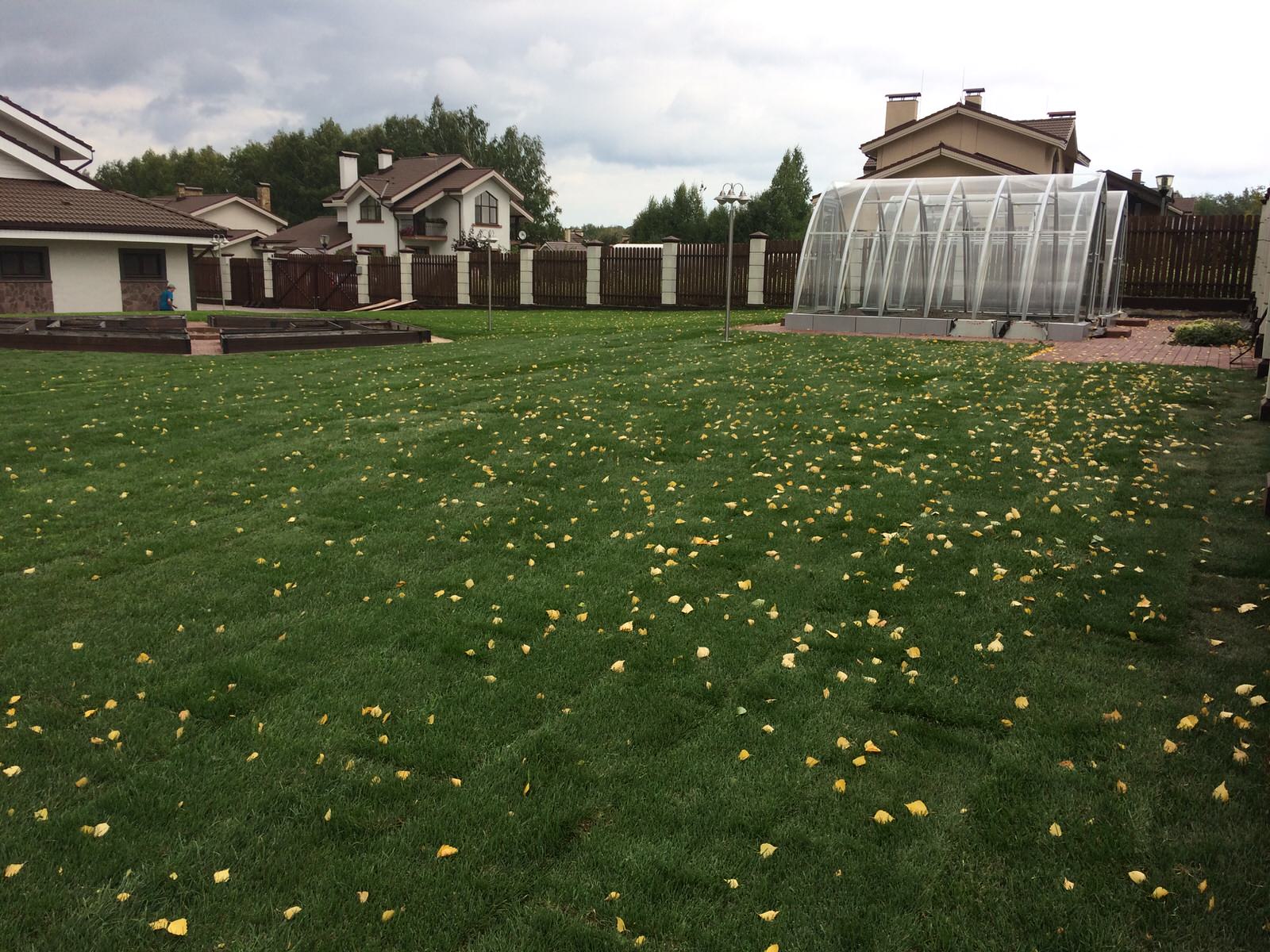 "огород и теплица из закаленного стекла"