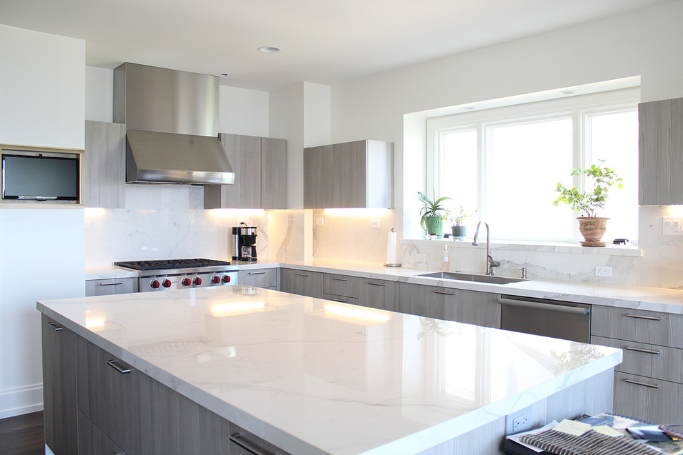Kitchen - contemporary kitchen idea in Detroit