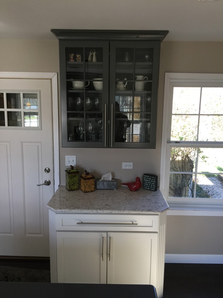 Transitional home design photo in Chicago