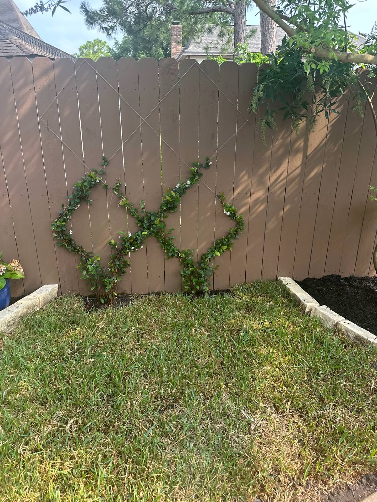 Front and Back yard makeover in Del Monte HTX