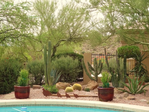 A refreshing pool is the perfect thing for those hot and dry climates, but if you don't want to escape from your client completely, create the oasis feel with the desert aesthetic around your water. 