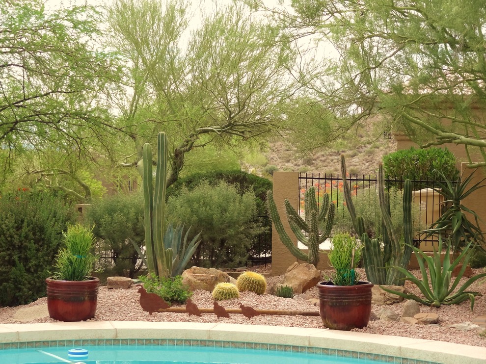 Inspiration for a xeriscape in Phoenix.