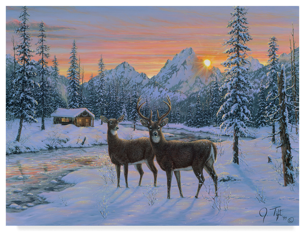 Jeff Tift Whitetail Canvas Art Rustic Prints And Posters By Trademark Global