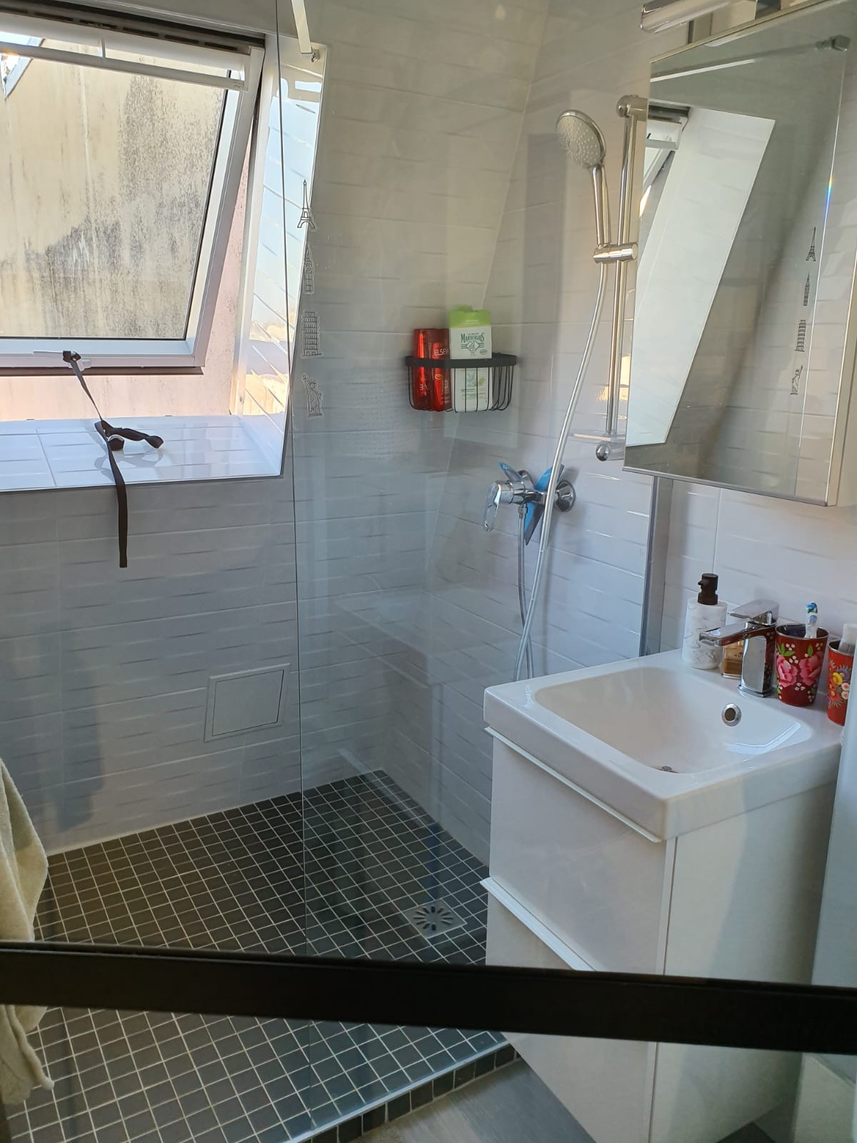 Grande douche et lavabo