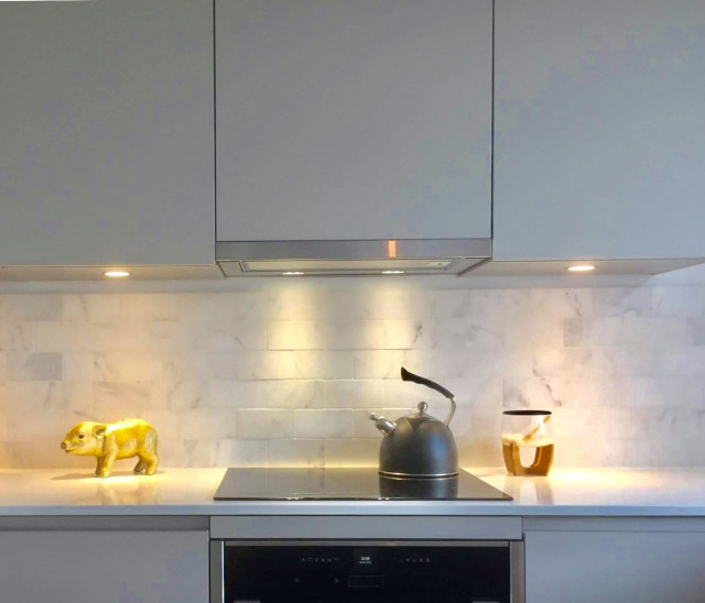 Contemporary Loft Apartment trendy-koekken
