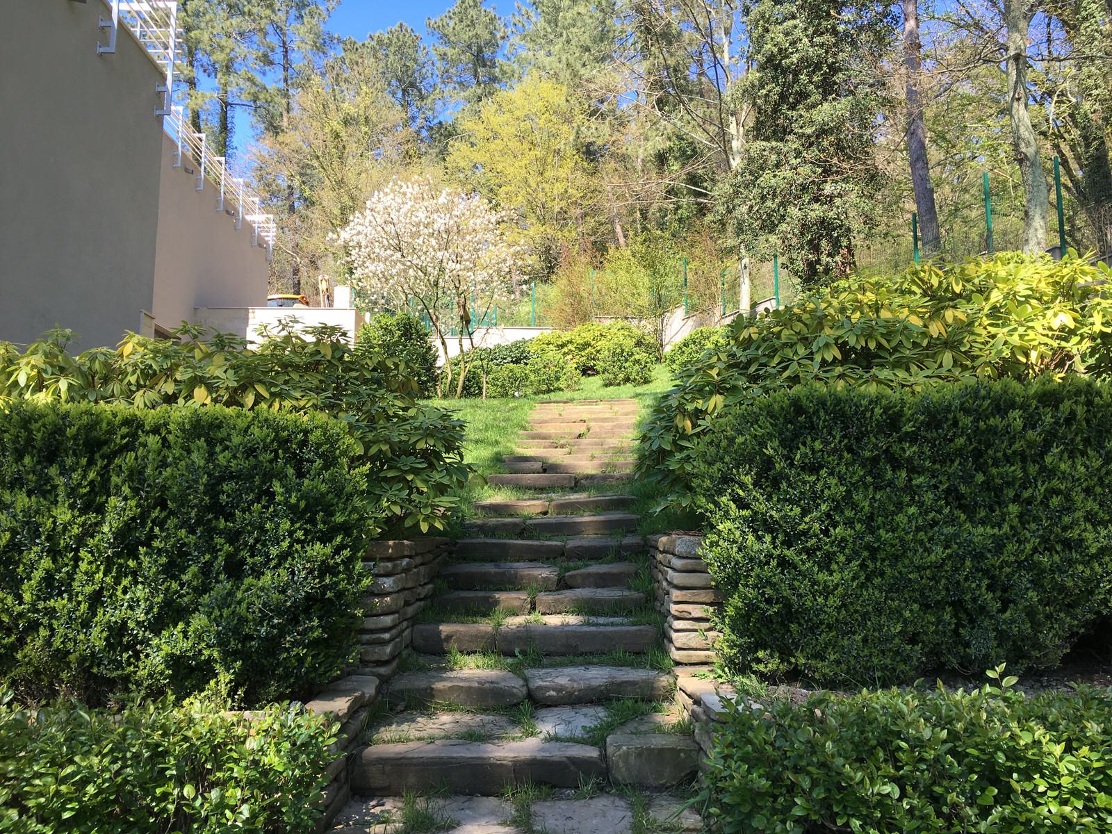 Зеленая роща