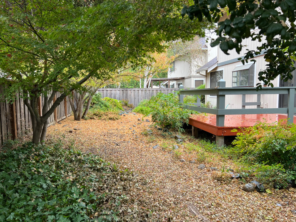 Morgan Hill Mordern Landscape