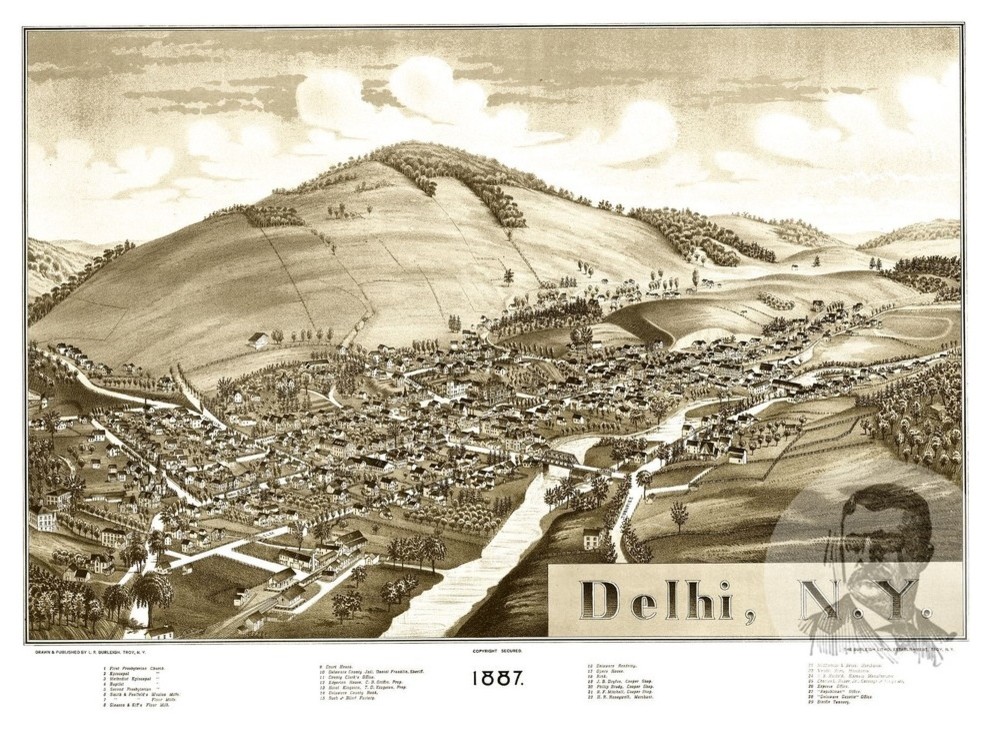 Delhi New York 1887 Historic Panoramic Town Map 24x32 