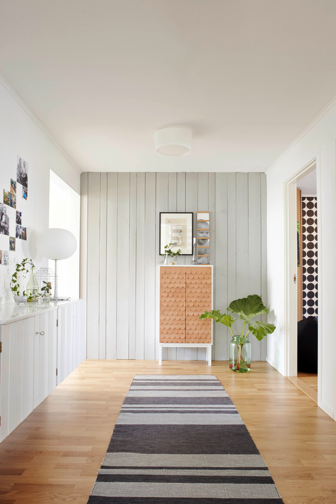 Inspiration for a mid-sized scandinavian hallway in Bremen with blue walls and light hardwood floors.