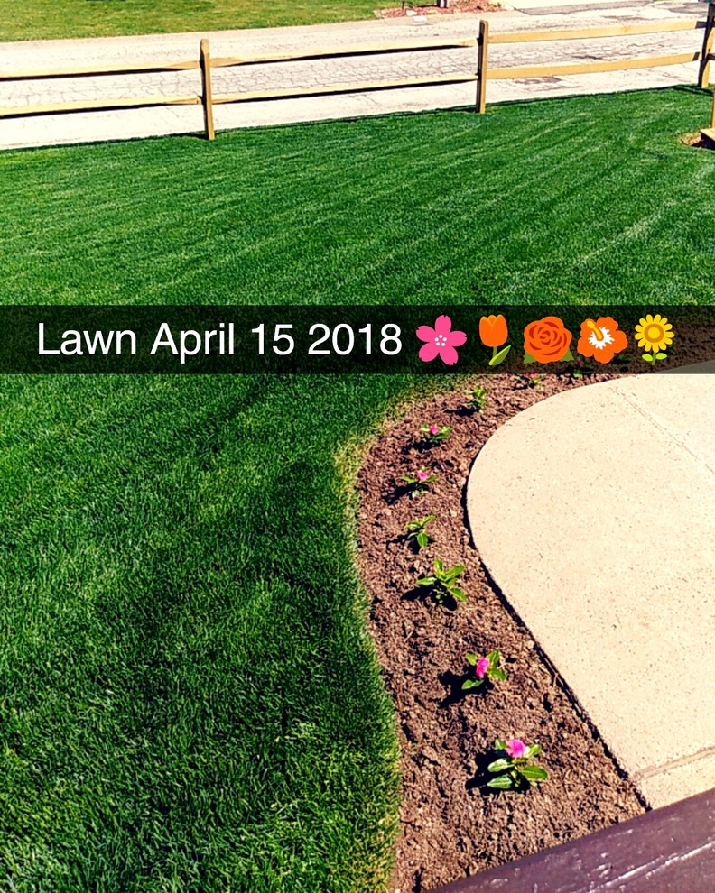 One week after application of and a lot of Rain