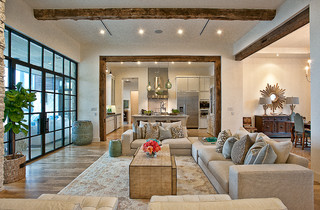 Cat Mountain Residence transitional-living-room