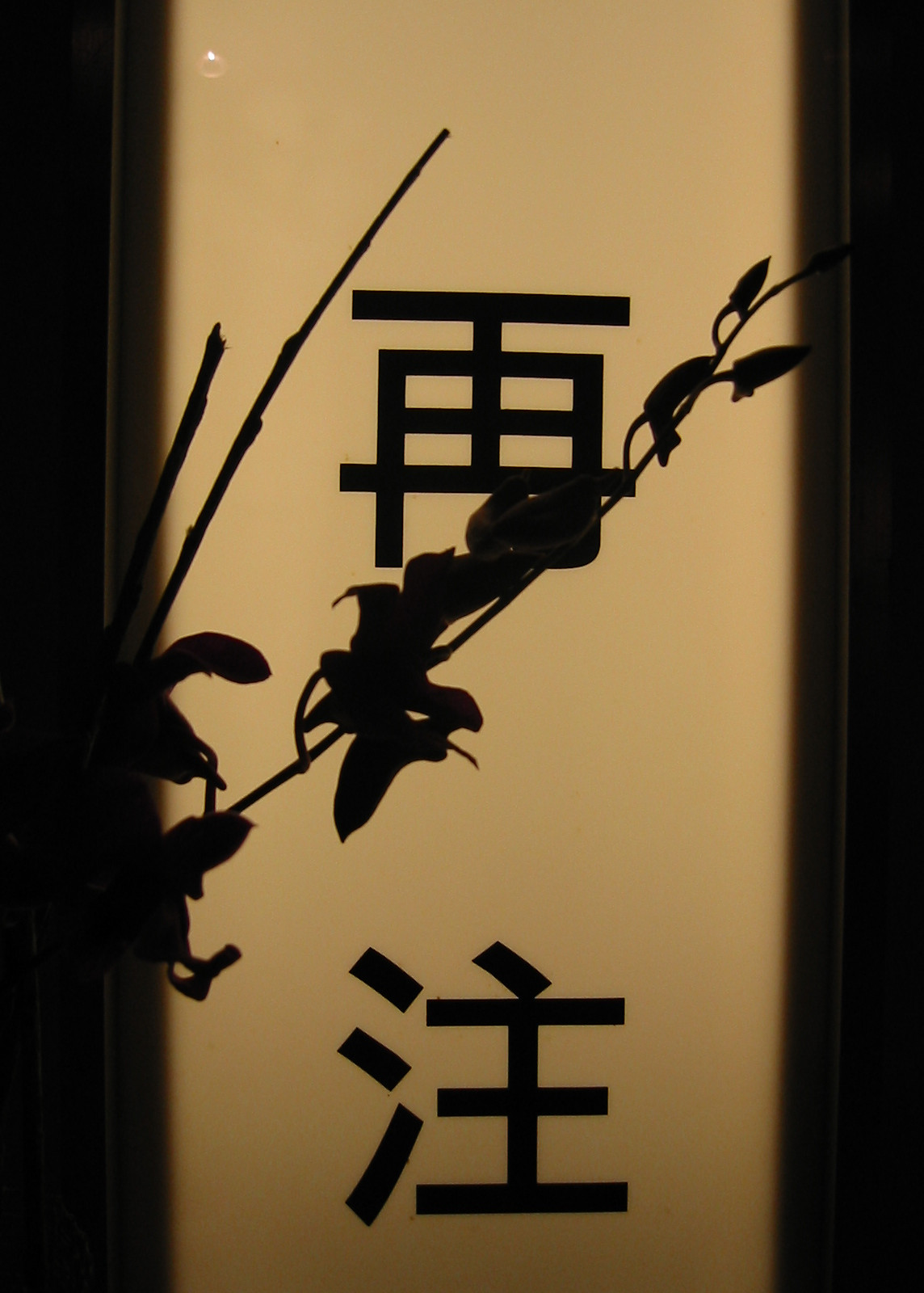 Ресторан ЖЕЛТОЕ МОРЕ на Полянке