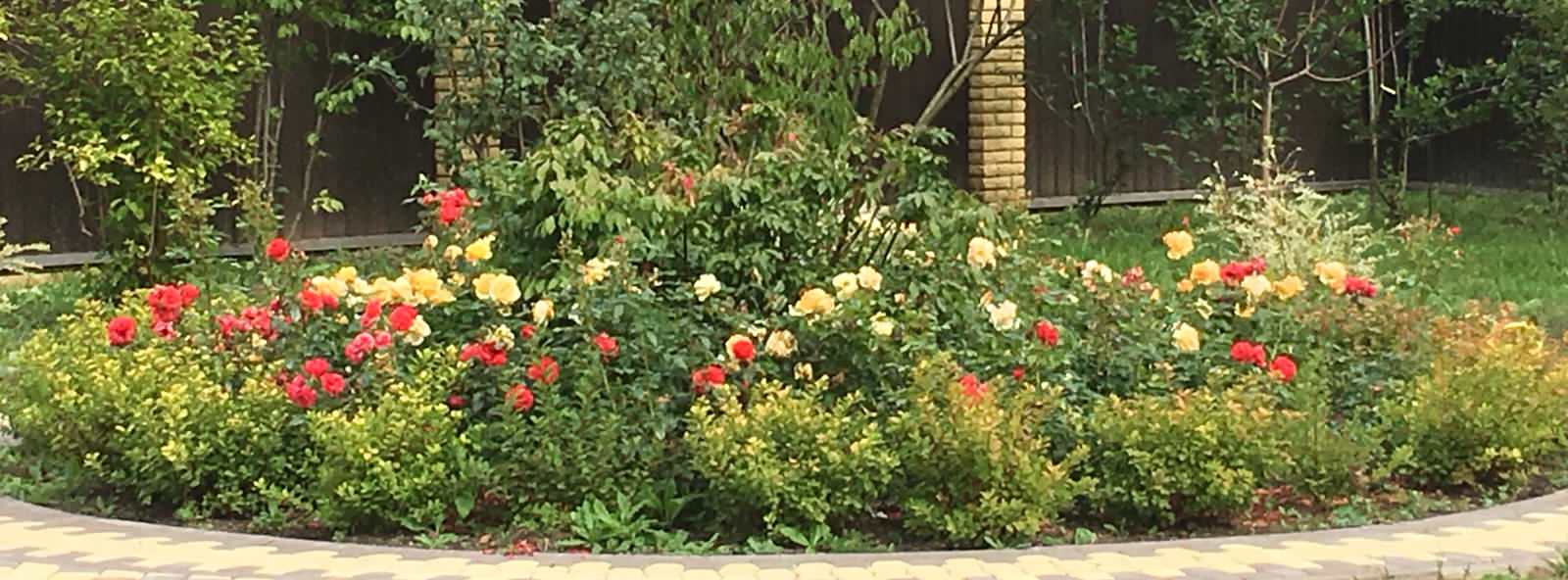 Васильевское