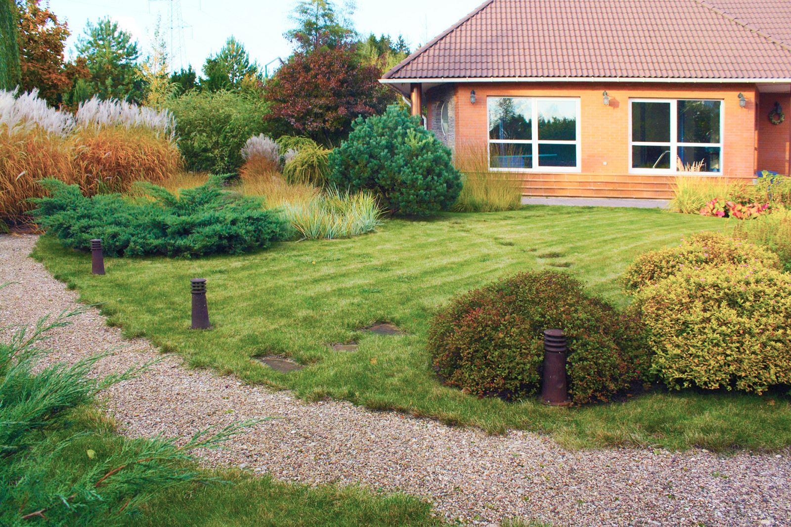 Дизайн дачного участка с садом трав в саду.