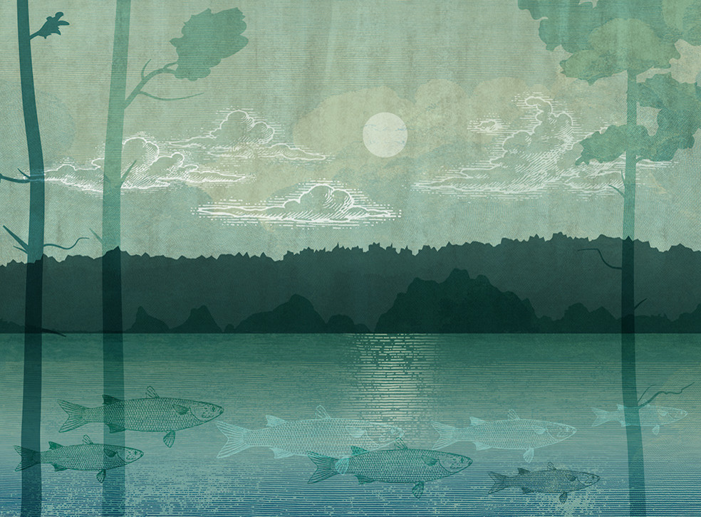 Интерьерная иллюстрация