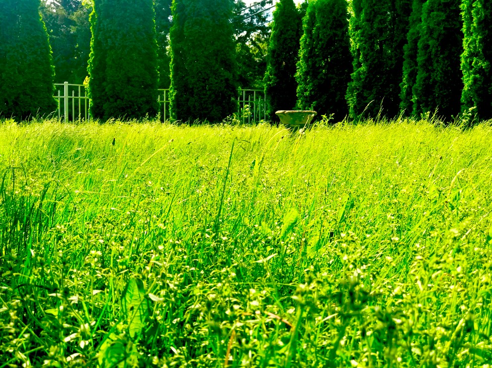 This is an example of a rustic landscaping in Chicago.