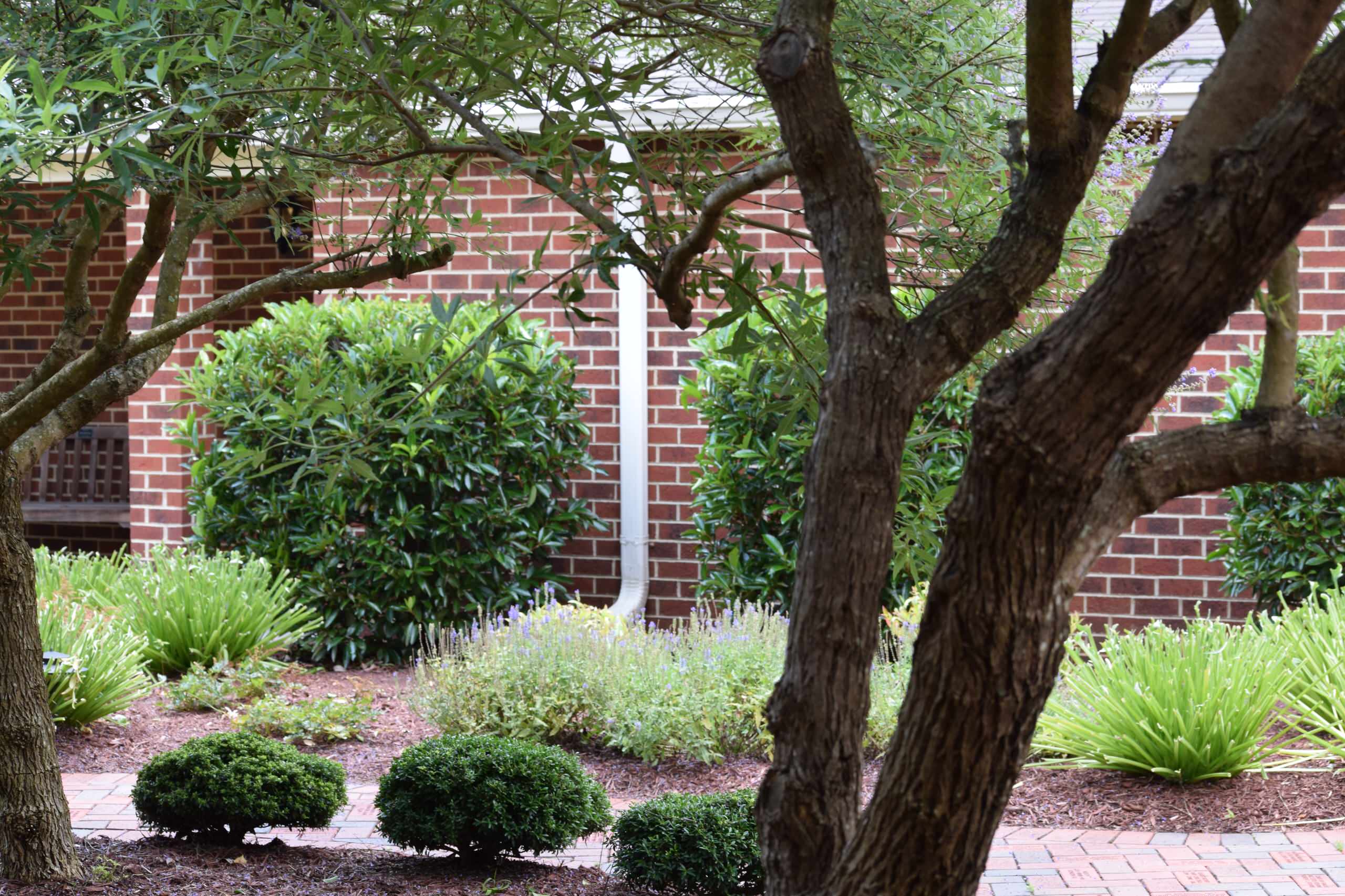 Memorial Garden