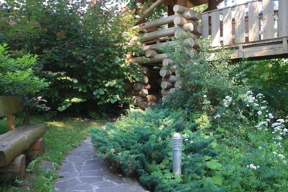 Лесная жизнь