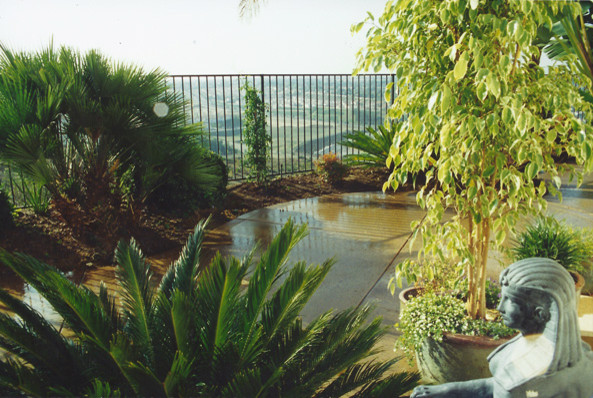 Imagen de patio clásico de tamaño medio sin cubierta en patio trasero con losas de hormigón