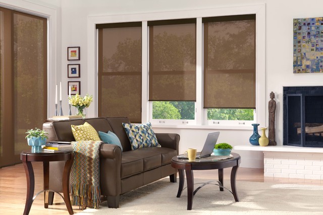 Roller Shades contemporary-living-room
