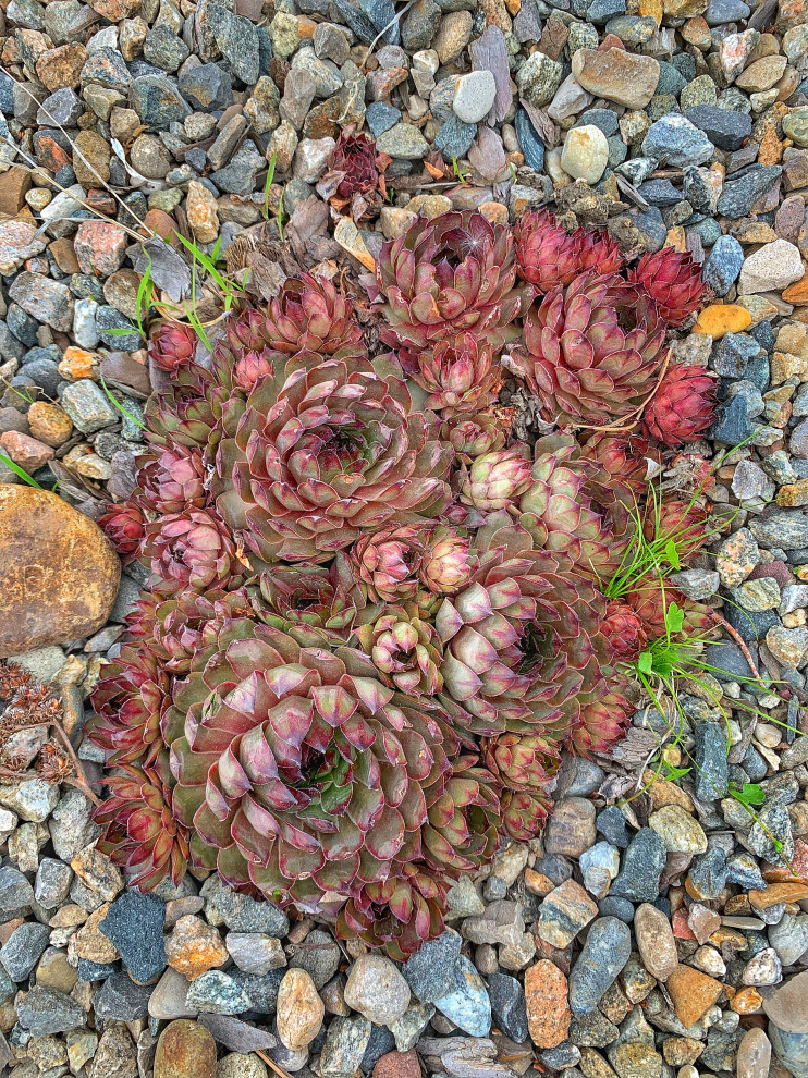 Ландшафтный дизайн в п. Молодёжный (Иркутск)