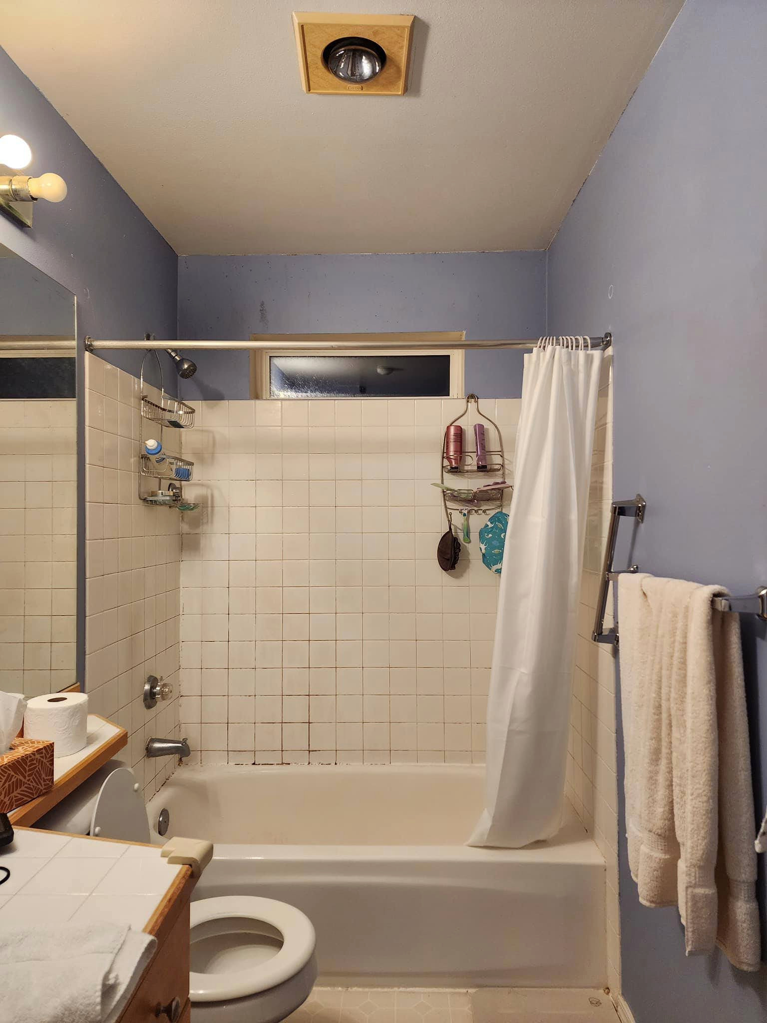 Redmond Bathroom Renovation