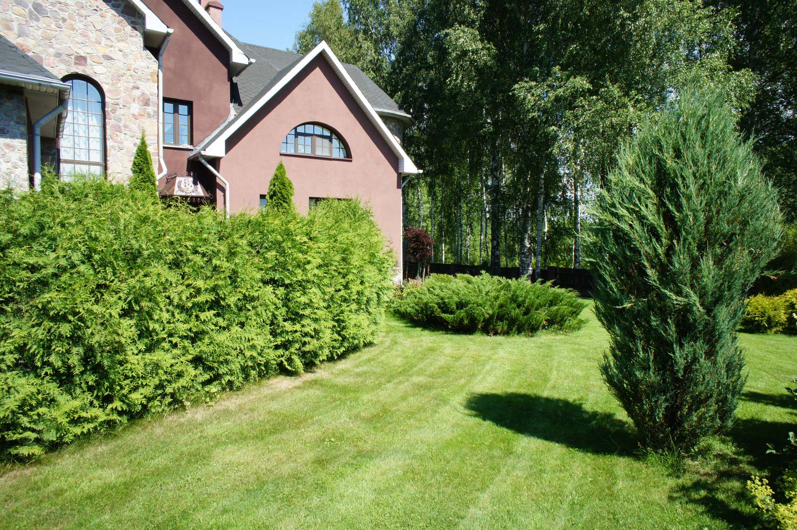 Деревенский сад