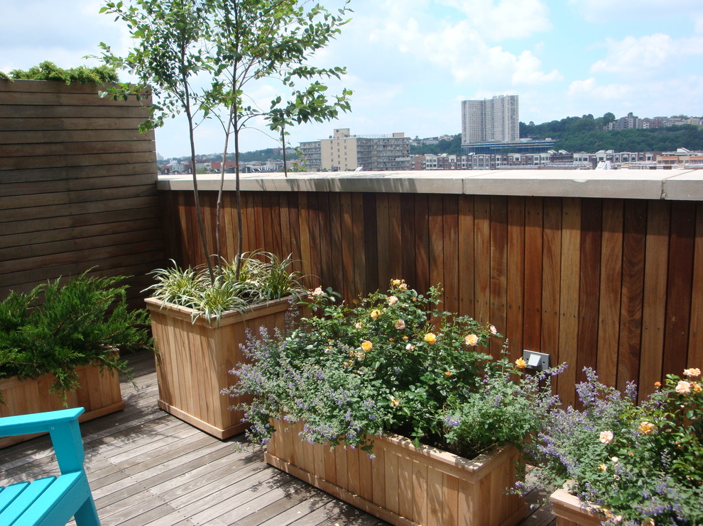 Inspiration for a contemporary full sun garden in New York with a container garden and a wood fence.