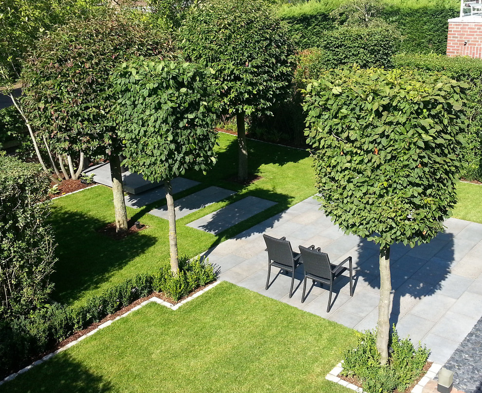 Photo of a contemporary garden in Dusseldorf.