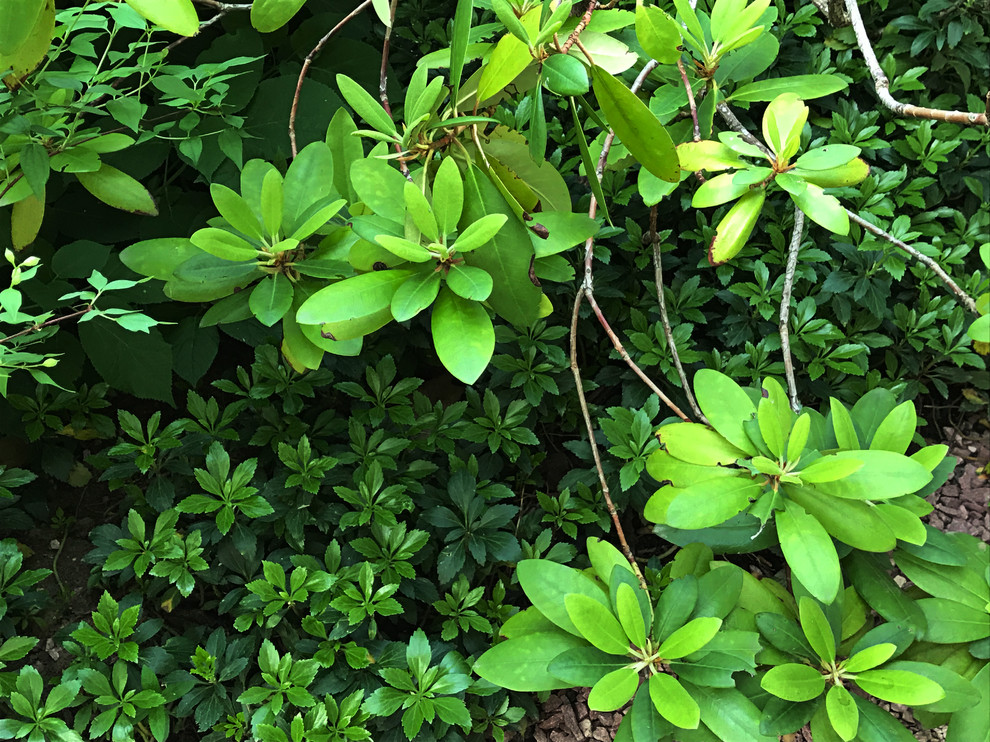 КП Княжье Озеро, 0,16 га