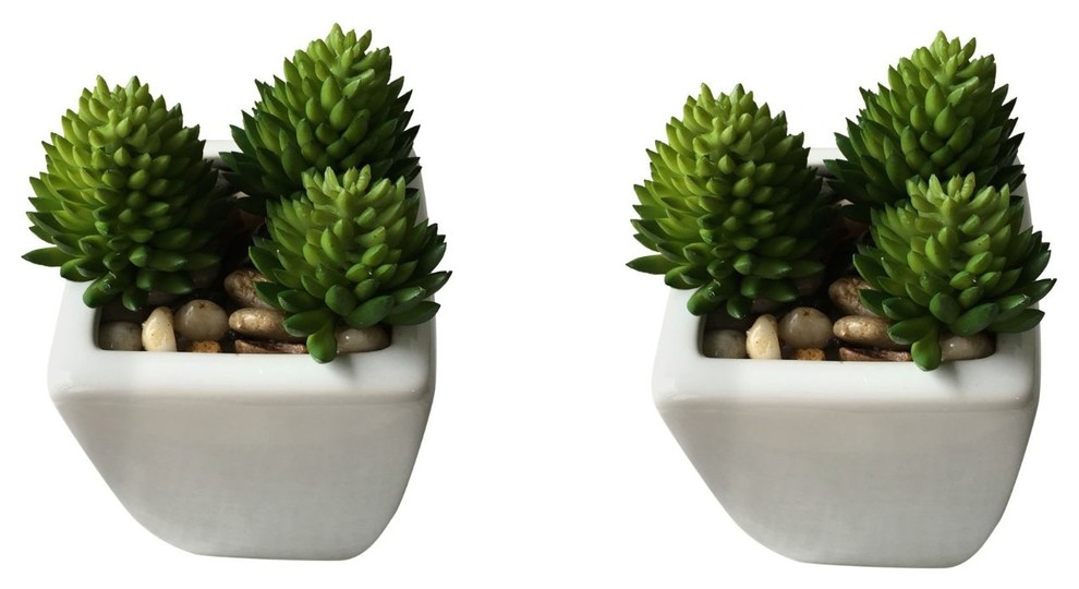 Mini Faux Agave Plants in White Ceramic Square Pots, Set of 2