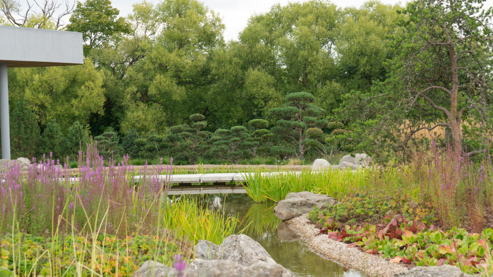 Природный сад. Жуковка XXI век. 2017-2018 гг.