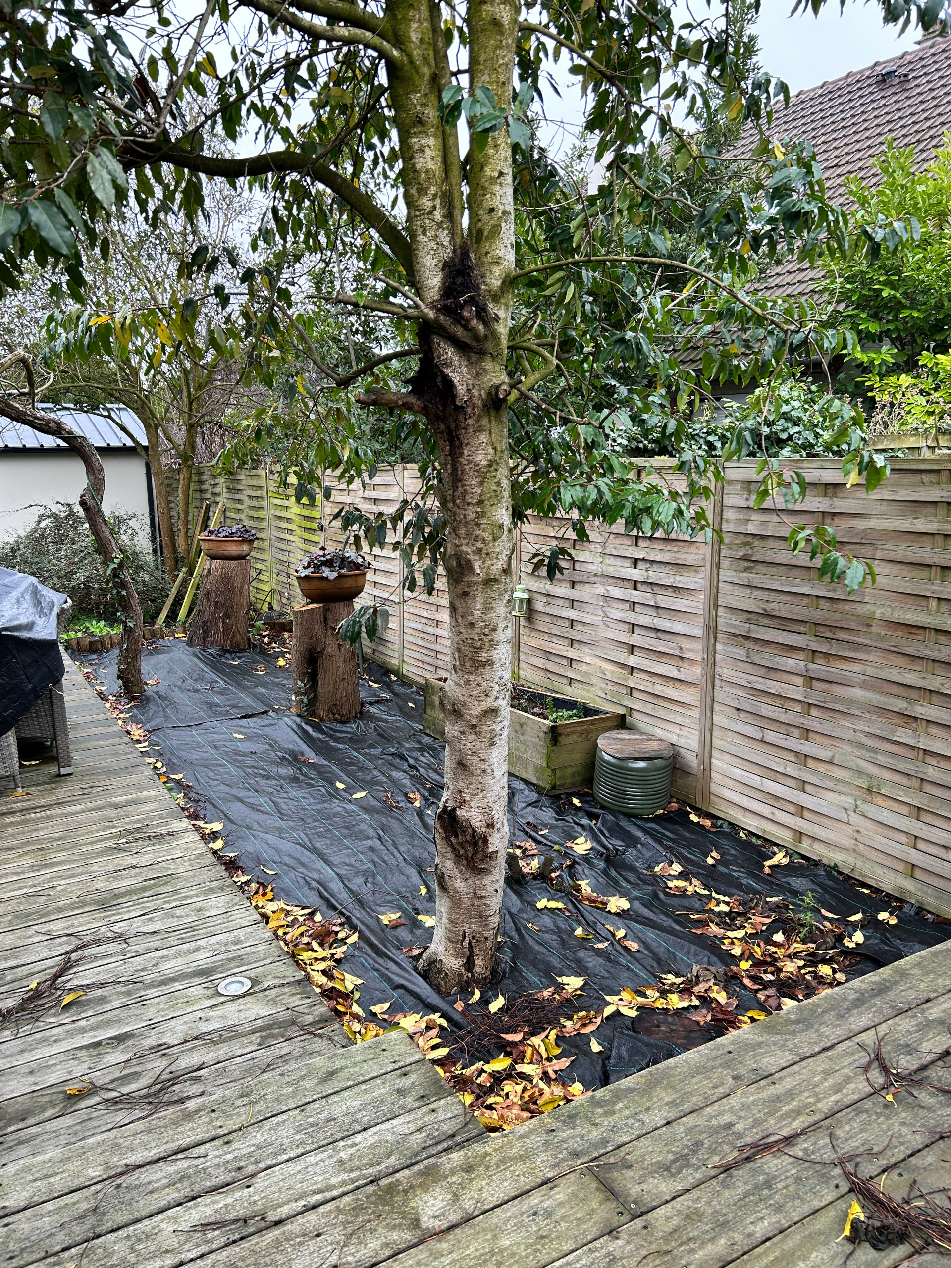Jardin en Pots : Un Écrin de Nature