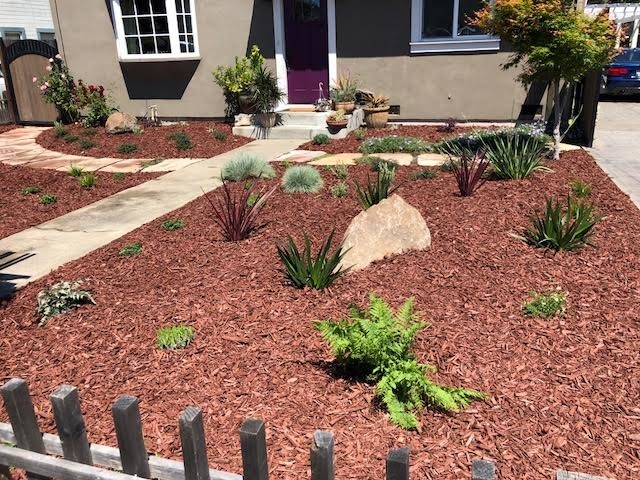 Drought Tolerant Landscaping- Front & Backyard