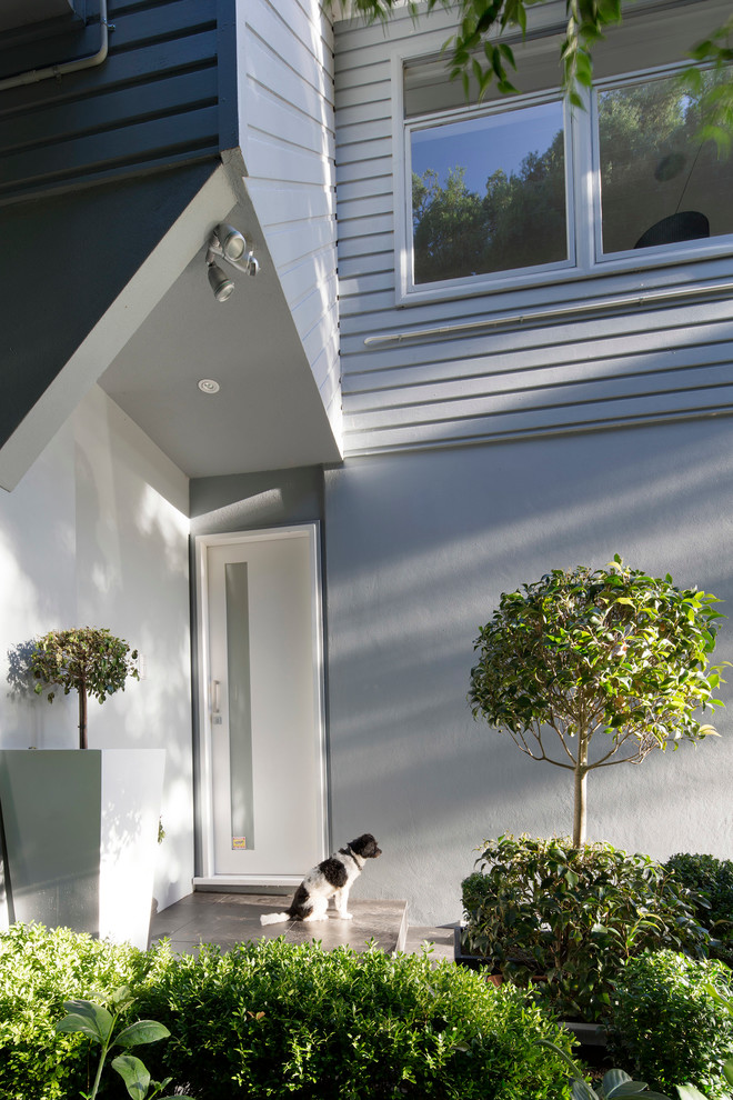 This is an example of a mid-sized contemporary front door in Sydney with grey walls, slate floors, a single front door, a white front door and grey floor.