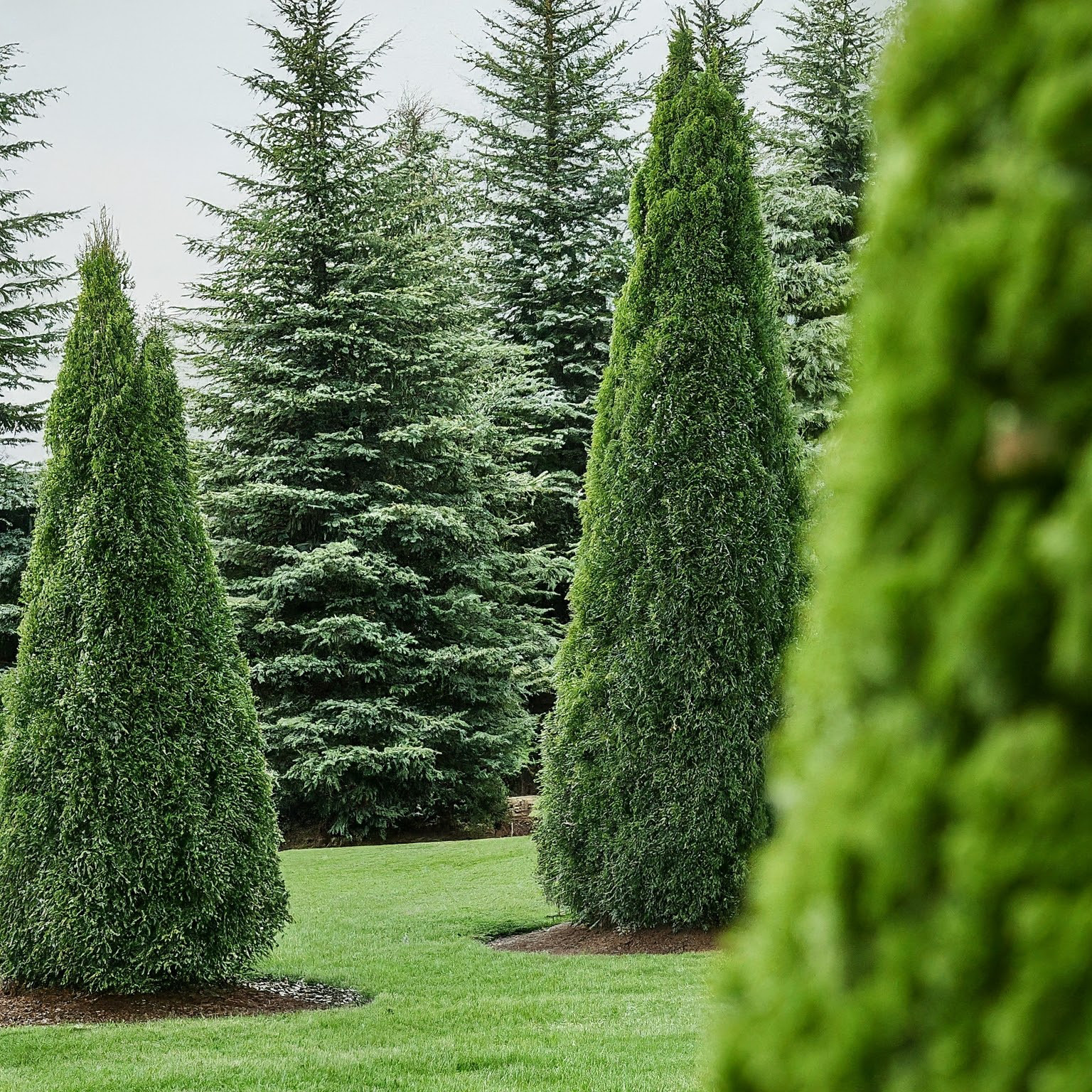 Частный сад 1. Пейзажный