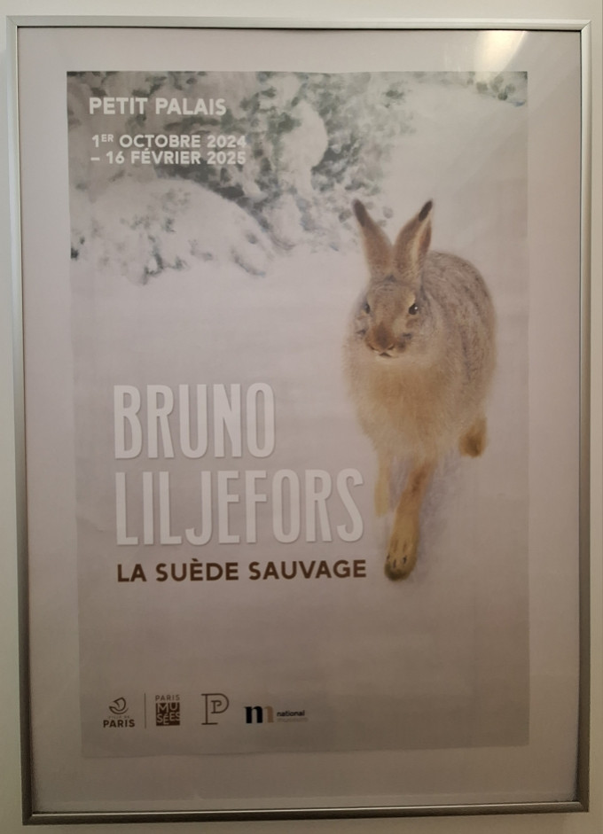 Rénovation totale de WC