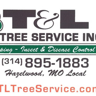 T & L TREE SERVICE INC - Project Photos & Reviews - Hazelwood, MO US ...