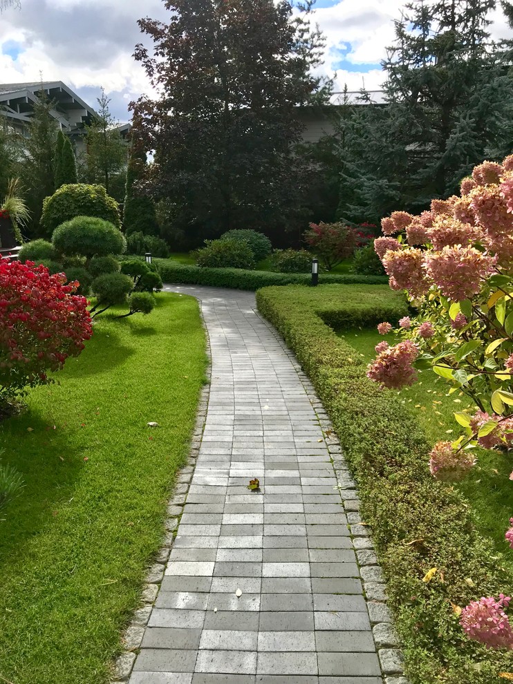 Зелёный лес