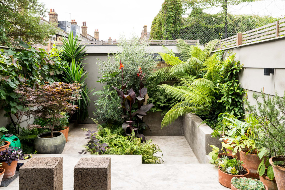 Design ideas for a contemporary back full sun garden fence in London.