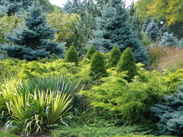 Designing With Conifers Layers Of, Conifer Garden Design Ideas